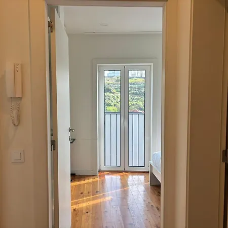 Douro & Bridge Views L Boutique 公寓 *